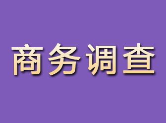 田阳商务调查